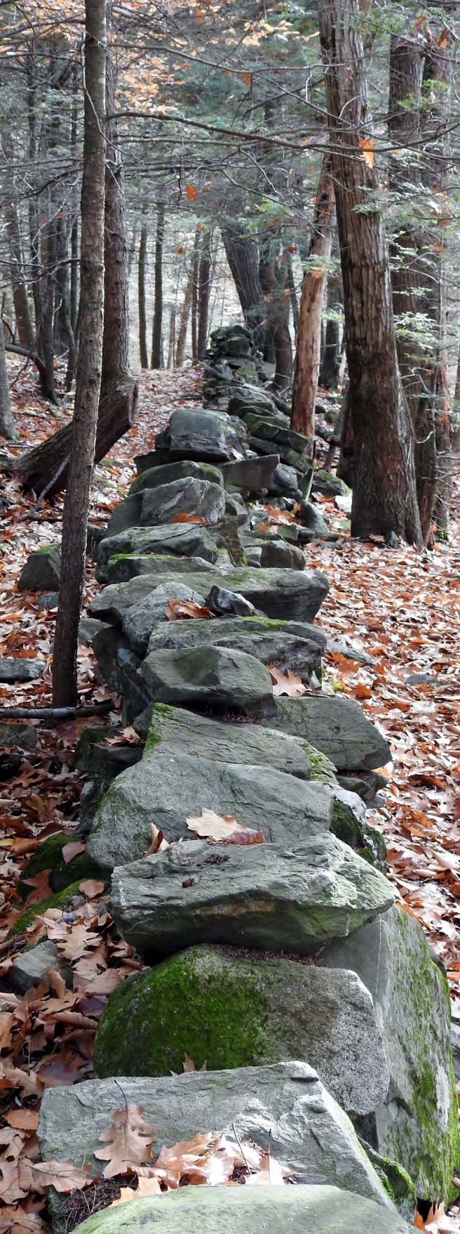 Farmers Wall in autumn
