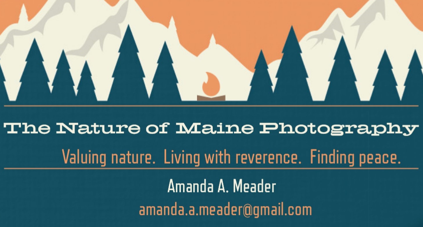 The Nature of Maine